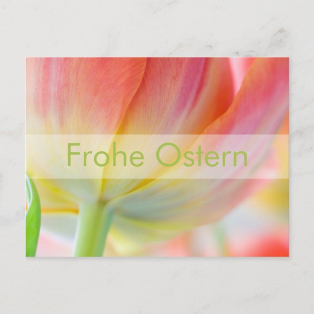 Fruehling ・ Oster-Postkarte Vykort (Framsida)
