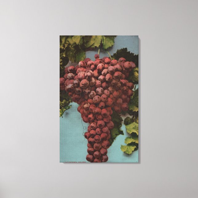 Fruit Chromo Lithograph of California Grapes Canvastryck (Framsida)