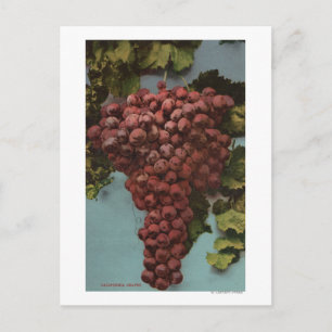 Fruit Chromo Lithograph of California Grapes Vykort