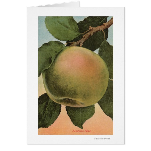 Fruit Chromo Lithograph of Newtown Pippen Hälsningskort (Framsidan)