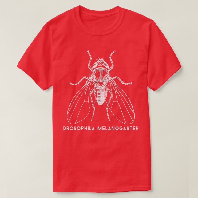 Fruit Fly Drosophila Melanogaster for Gene Researc T Shirt (Design framsida)