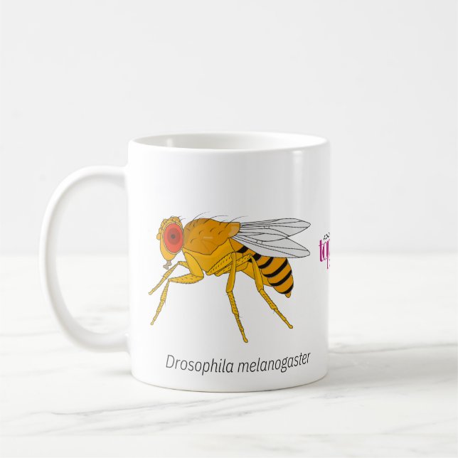 Fruit Fly Mugg (Vänster)