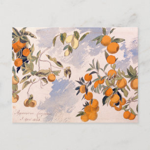 Fruit Träd - Edward Lear Vykort