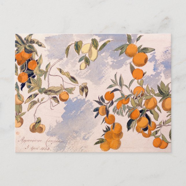 Fruit Träd - Edward Lear Vykort (Framsida)