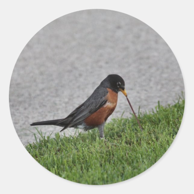 Frukost Runt Klistermärke (Framsida)