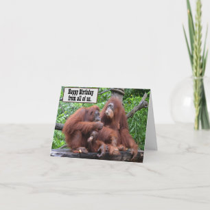 Frukosten med Orangutans Grattis på födelsedagen Kort