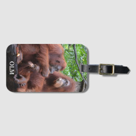 Frukosten med Orangutans Singapore Zoo Bagagebricka
