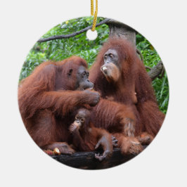 Frukosten med Orangutans Singapore Zoo Julgransprydnad Keramik