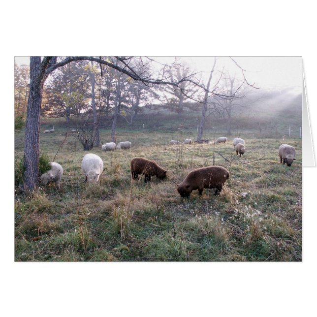 Frukosten vid Dawn Hälsningskort (Framsidan Horizontal)