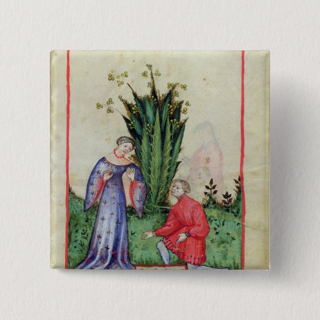 Frukt av Mandrake, from Tacuinum Sanitatis Knapp (Framsida)