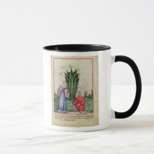 Frukt av Mandrake, from Tacuinum Sanitatis Mugg