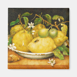 FRUKT. BLOMMOR OCH VITBLOMMOR MAGNET