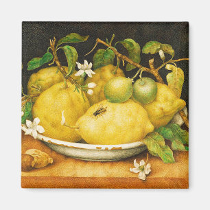 FRUKT. BLOMMOR OCH VITBLOMMOR MAGNET