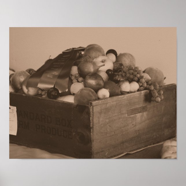 Frukt från grevskapet Fair Blue Ribbon First Award Poster (Framsidan)