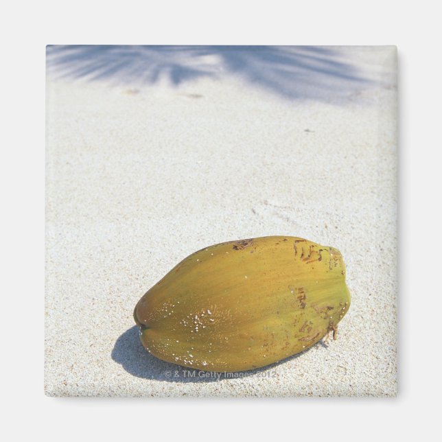 Frukt från Handflatan Magnet (Framsidan)