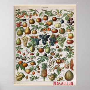 Frukt från vattenbruk, personlig anpassning poster