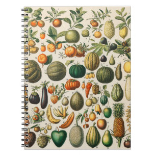 Frukt Grönsak Botanisk Vetenskaplig Illustration Anteckningsbok