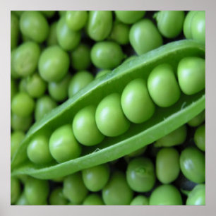 FRUKT-GRÖNSAKER POSTER