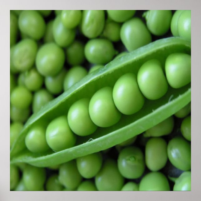 FRUKT-GRÖNSAKER POSTER (Framsidan)