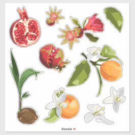 Frukt. Kontur. Granat. Orange. Klistermärken