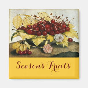 FRUKT/KRYR OCH KARNATIONER AV SEASON MAGNET