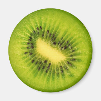 Frukt Magnet-serien - Kiwi- Magnet