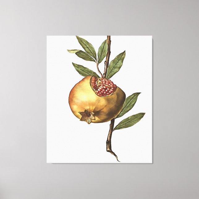 Frukt och frö av granatäpple och granatäpple från  canvastryck (Framsida)