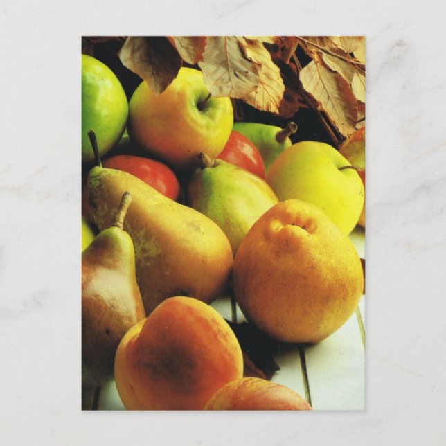 Frukt och grönsaker, äpplen och pears vykort (Framsida)