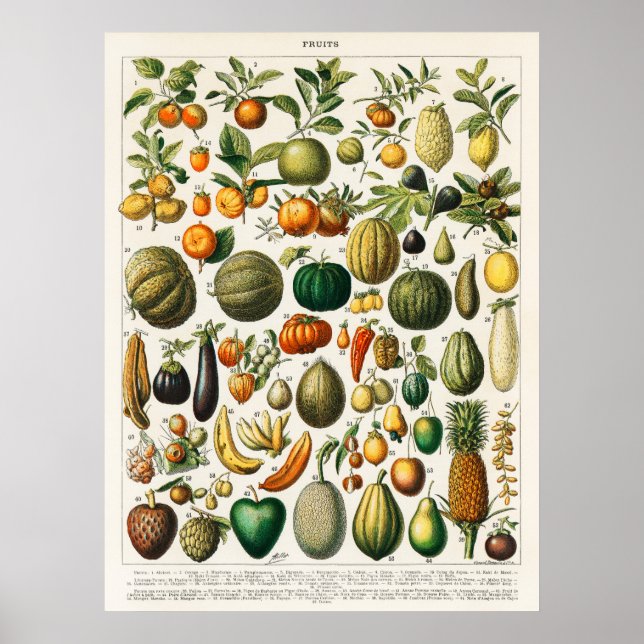 Frukt- och grönsaksposter poster (Framsidan)