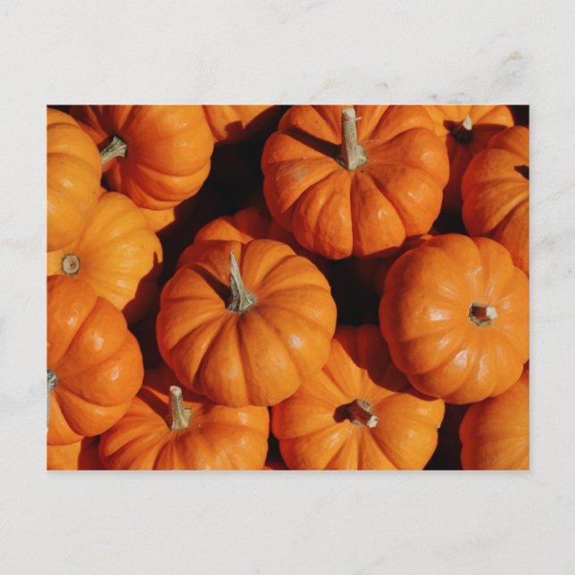 Frukt- och matvykort 17 vykort (Framsida)