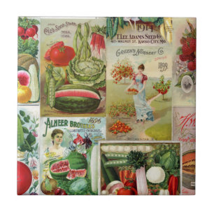 Frukt och Veggies kärnar ur katalogCollage Kakelplatta