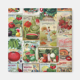 Frukt och Veggies kärnar ur katalogCollage Magnet