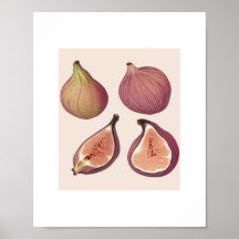 FRUKT WALL ART POSTER