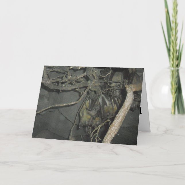 "Frukta Fladdermöss" Hämta brunstkort Kort (Framsida)