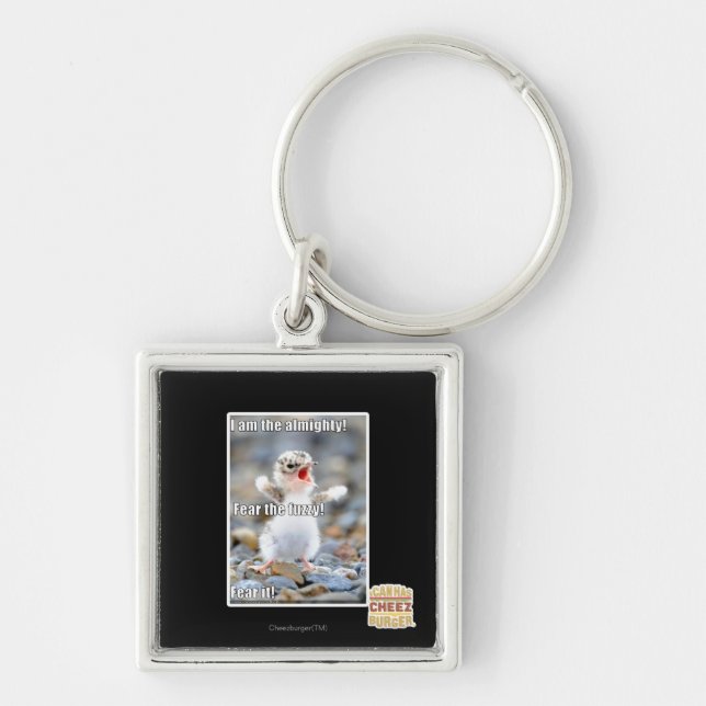 Frukta Fuzzy! Fyrkantig Silverfärgad Nyckelring (Framsidan)