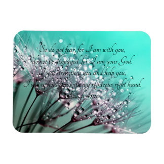Frukta inte Isaiah 41:10 Bible Verse Magnet