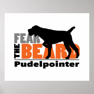 Frukta skägget - Pudelpekaren Poster