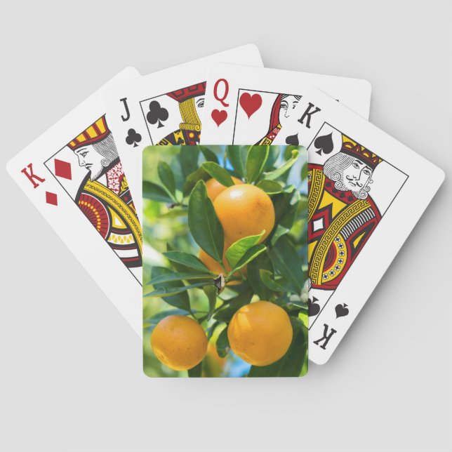 Fruktbärande apelsinträd casinokort (Baksidan)