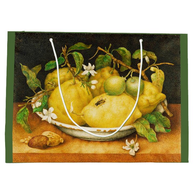 FRUKTBLOMMOR OCH VITBLOMMOR (Baksidan)