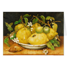 FRUKTBLOMMOR OCH VITBLOMMOR HÄLSNINGSKORT