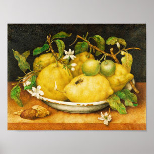 FRUKTBLOMMOR OCH VITBLOMMOR POSTER