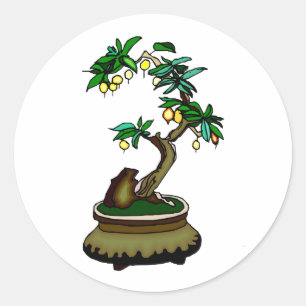 FruktBonsai i Pot Bonsai Graphic Image Runt Klistermärke