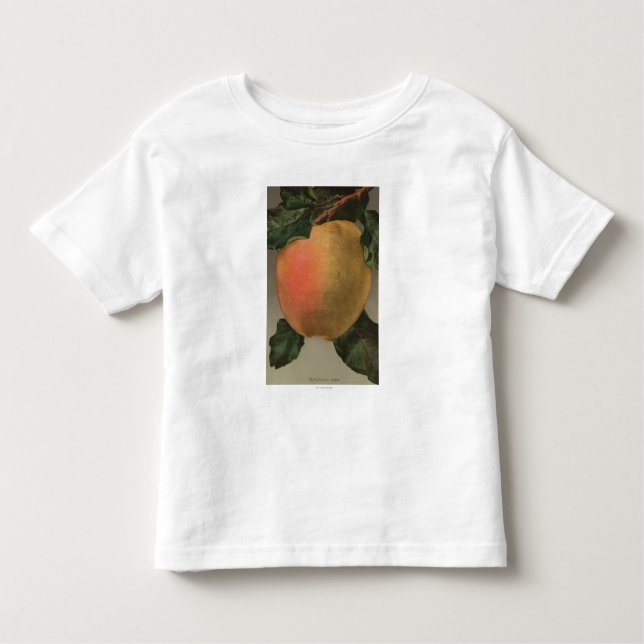 FruktChromo Lithograph av Belleflower Apple Tee (Framsida)