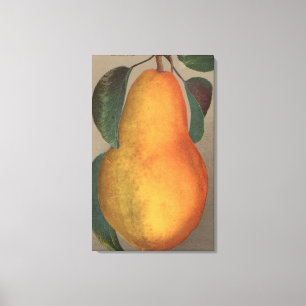 FruktChromo Lithograph av den Bartlett pearen Canvastryck