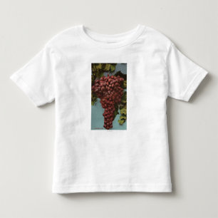 FruktChromo Lithograph av Kalifornien druvor Tee