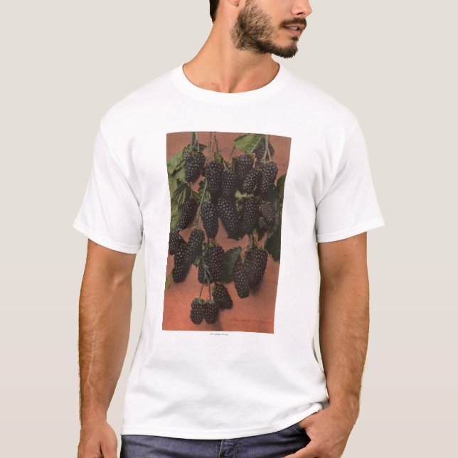 FruktChromo Lithograph av kolossalt Tröja (Framsida)