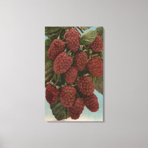 FruktChromo Lithograph av LoganberriesState Canvastryck