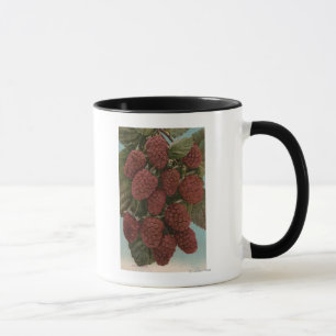 FruktChromo Lithograph av LoganberriesState Mugg