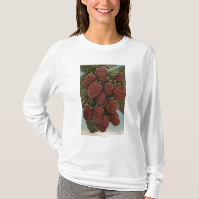 FruktChromo Lithograph av LoganberriesState Tee (Framsida)