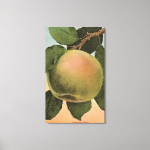 FruktChromo Lithograph av Newtown Pippen Canvastryck